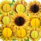 Paper Jazz Sunflower Honeycomb Decorations,Sunflower Birthday Party Decoraytion,Yellow Wall Hanging Ceilling for Spring Garden Themed Birthday Baby Shower Bridal Shower Party Favor.